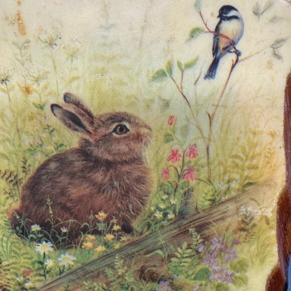 Vintage Wall Hanging Wood Plaques Animal 1970s Pictures Rabbit Squirrel Badger - Picture 6 of 10